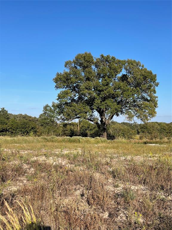 William Sherman Surv A-761 - Land