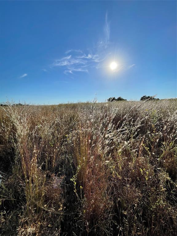 William Sherman Surv A-761 - Land