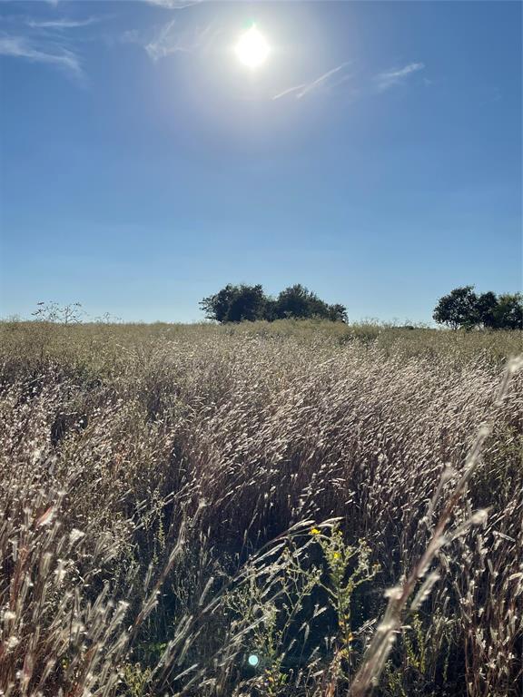 William Sherman Surv A-761 - Land