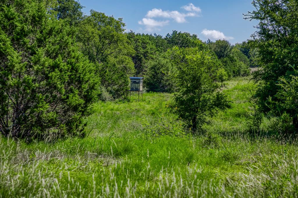 M H Breedlove - Farm