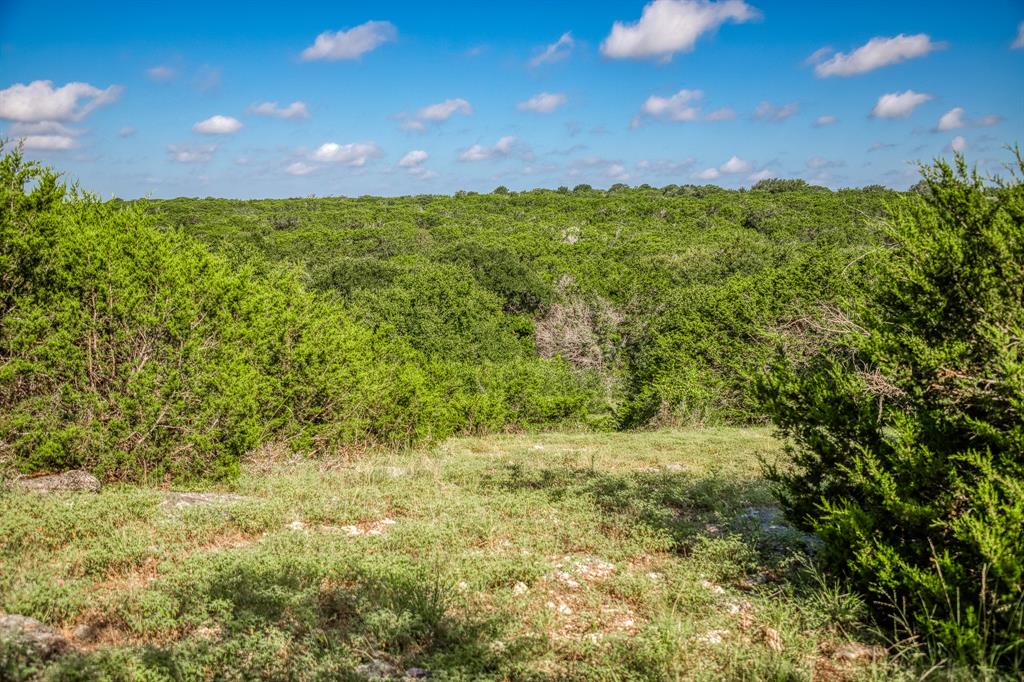 M H Breedlove - Farm