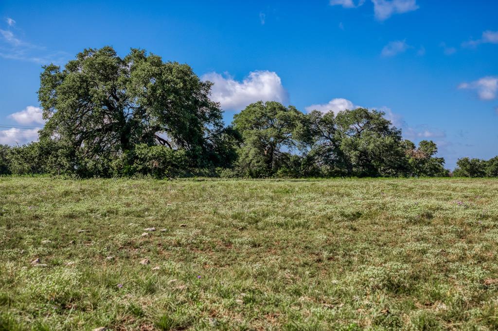 M H Breedlove - Farm