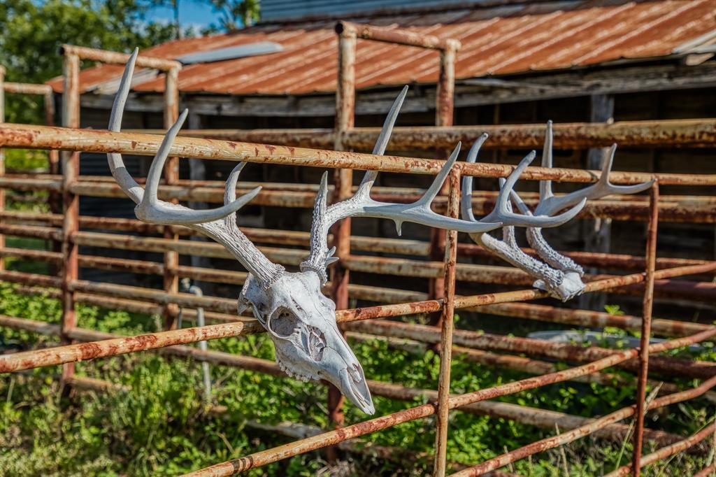 M H Breedlove - Farm