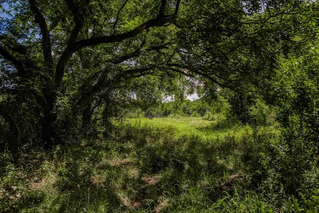 M H Breedlove - Farm