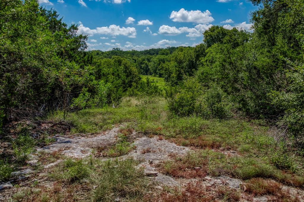 M H Breedlove - Farm