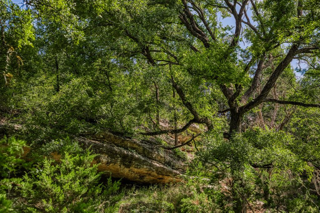 M H Breedlove - Farm