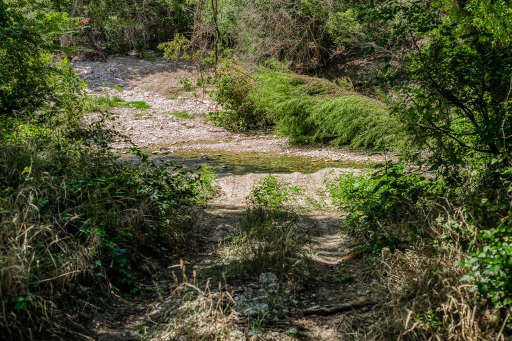 M H Breedlove - Farm