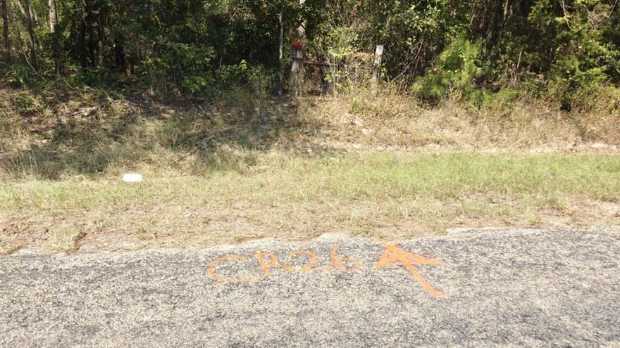 Discover the possibilities with this 1.58-acre unimproved residential lot. Tucked away in a beautiful, wooded area of Smith County, this property offers the perfect canvas for your vision. Owner financing available.