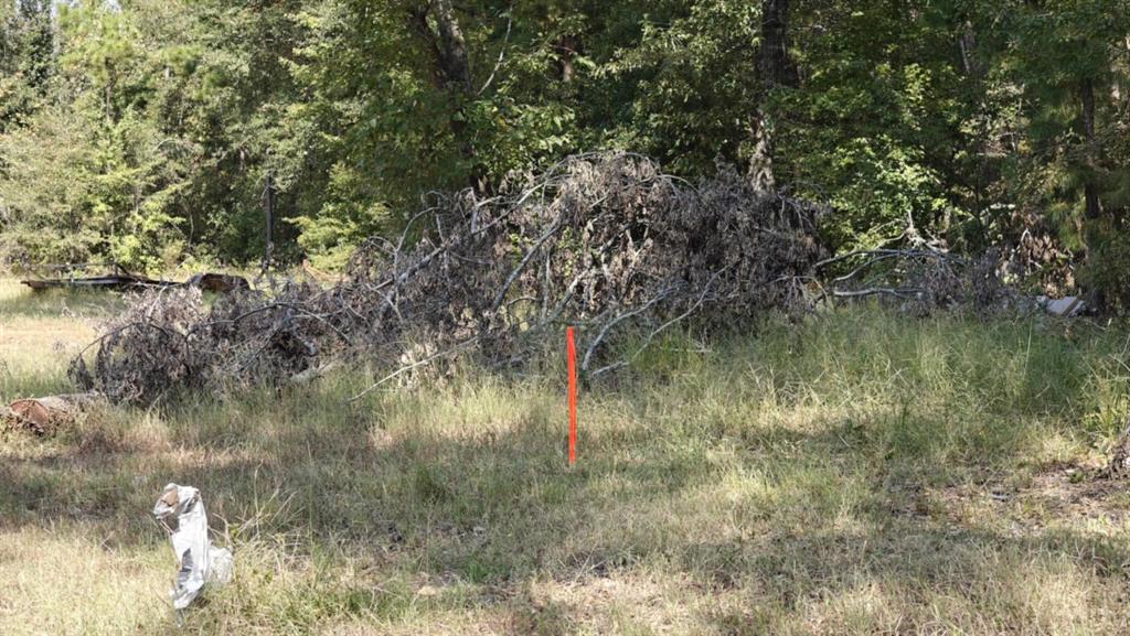 14895 County Road 26