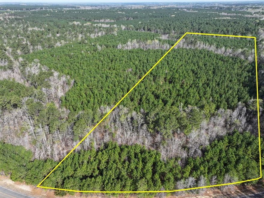 This first time open market offering is situated in the quiet village of Rodessa, Caddo Parish, Louisiana. Historically managed timber tracts currently planted in varying ages of pre-merchantable pine plantations (2014-2016). Attractive size and shaped tracts offer high recreational residential value and privacy. Tracts vary in size from 8 to 81 acres. Easily accessed from low traffic blacktop roads. Good topography and drainage. Located close to the borders of Texas, Louisiana and Arkansas. Electricity available along United Gas Road 1 and Rodessa State Line Road (LA 168 CR 4561).