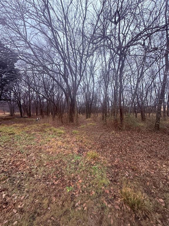 W B Williams Surv Tract 7 Abs - Land