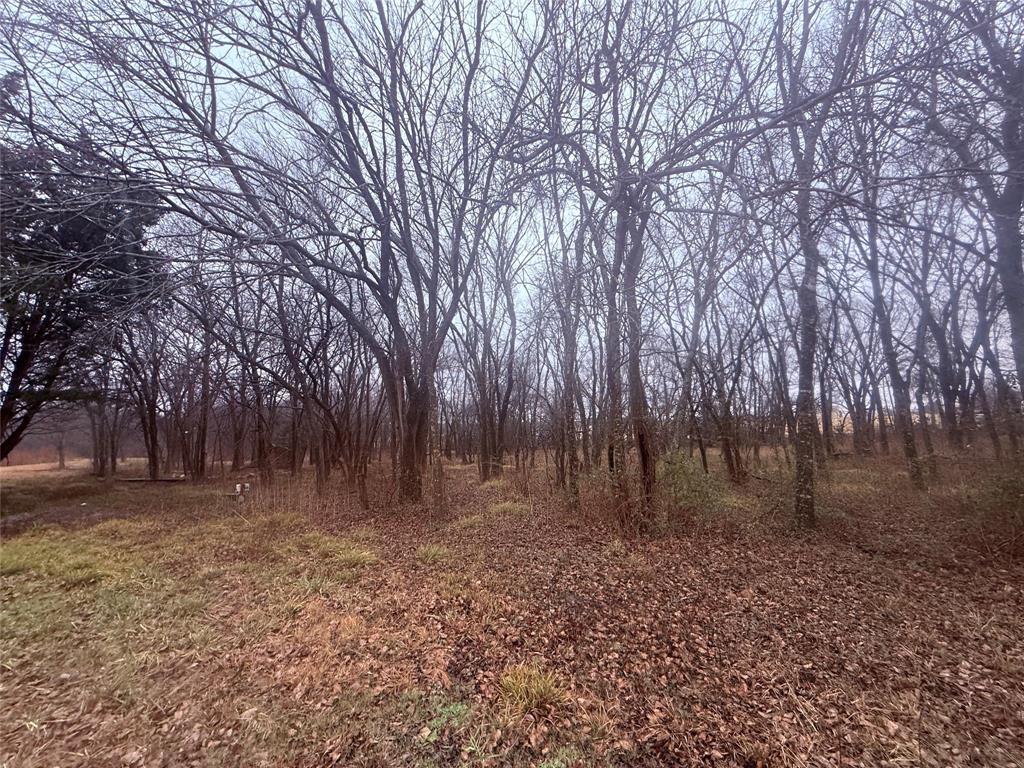 W B Williams Surv Tract 7 Abs - Land