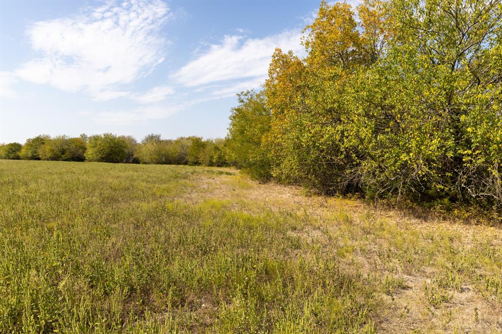 Tract 6 County Road 2935