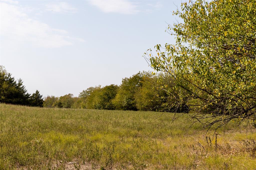 Tract 6 County Road 2935