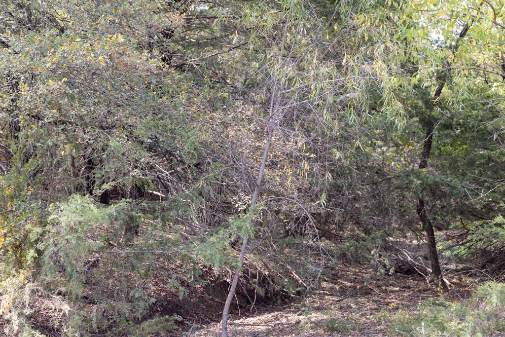 Tract 6 County Road 2935