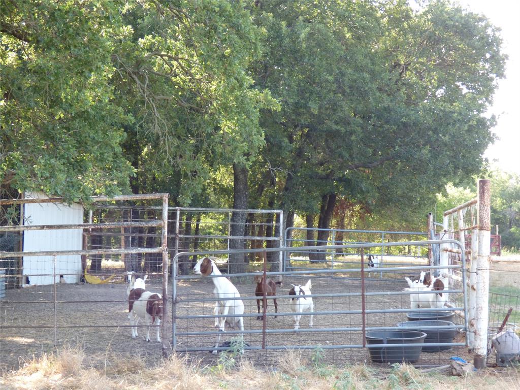 Nickell School Oaks - Residential