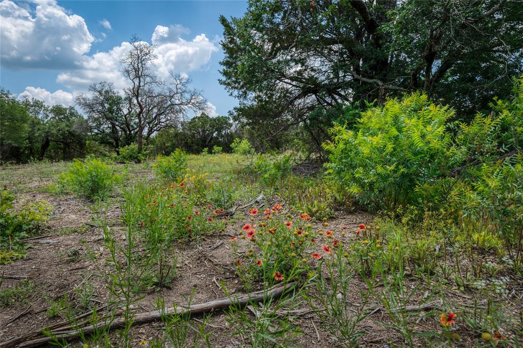 The Preserve on Ash Creek - Land
