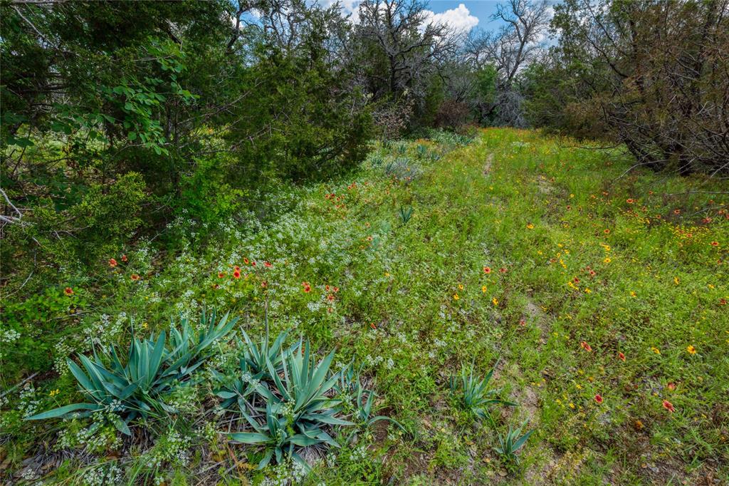 The Preserve on Ash Creek - Land
