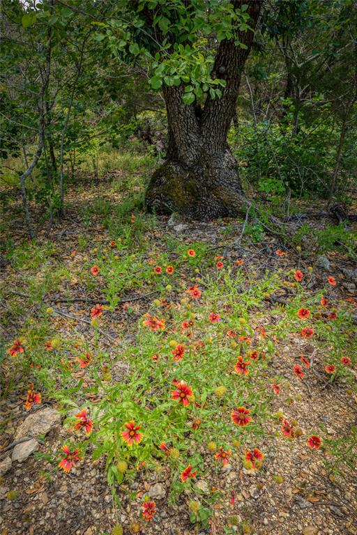 The Preserve on Ash Creek - Land