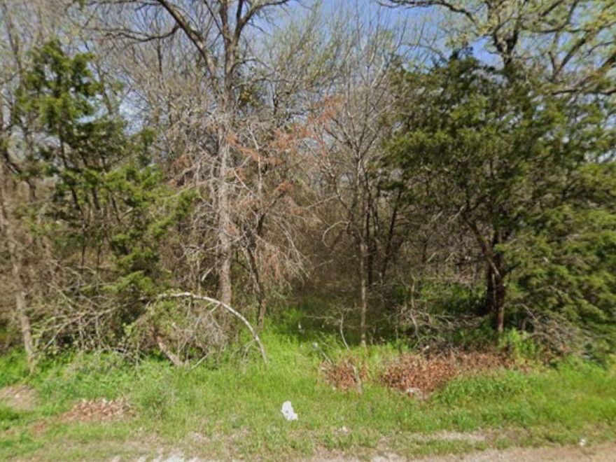 Build your future on this vacant 0.21-acre lot located at 4113 Green Oak Dr in Granbury, TX. Situated in an established area, this property offers a great opportunity to build a custom home or invest in land near Lake Granbury. Enjoy convenient access to local shopping, dining, schools, and recreational activities while still benefiting from a quiet residential setting. Don’t miss this affordable lot in a desirable Granbury location.