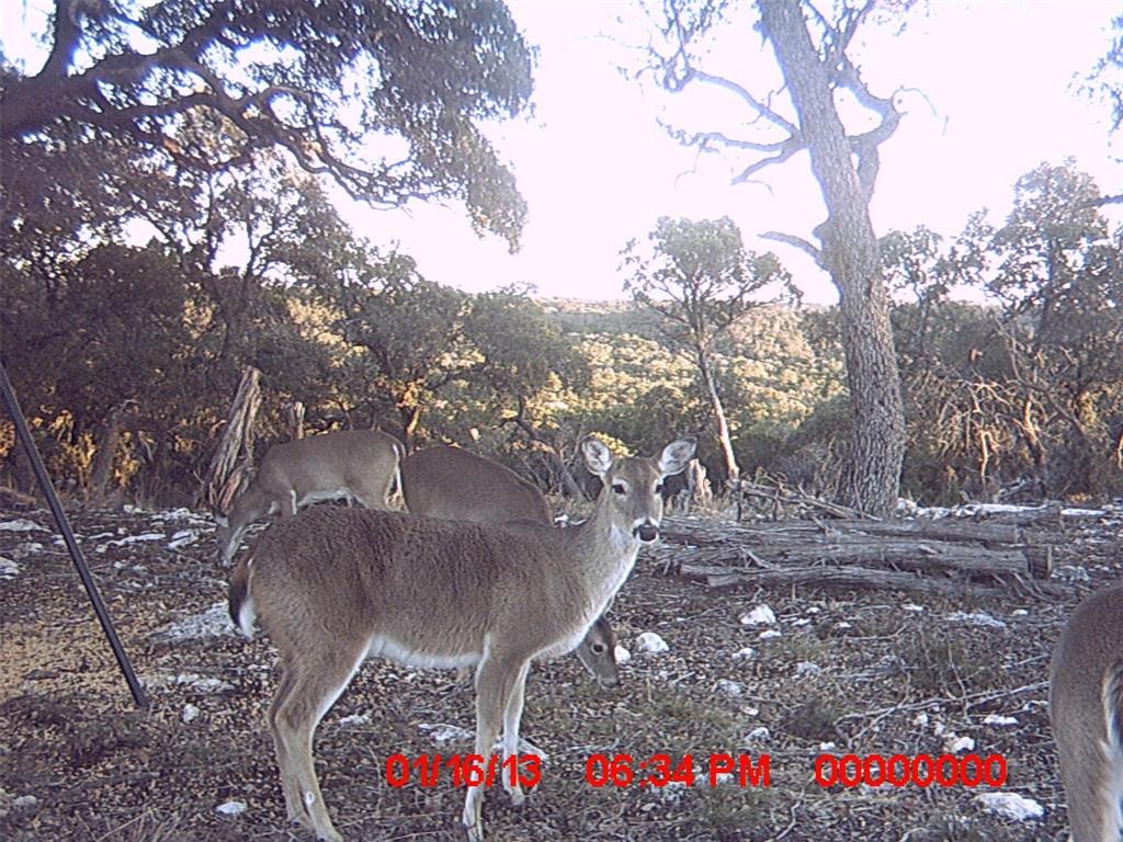 Retreat Ph 03 - Land