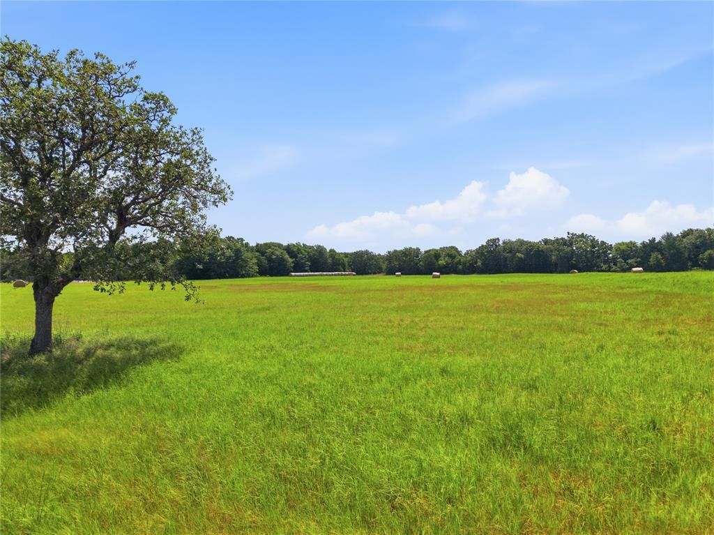 Photo of 234 Stallings Drive, Decatur, TX 76234 (MLS # 21338855)