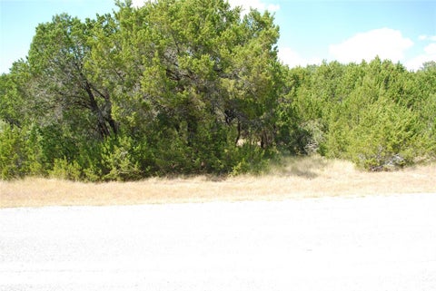 Photo of 43009 Whisperwood Drive, Whitney, TX 76692 (MLS # 21419418)