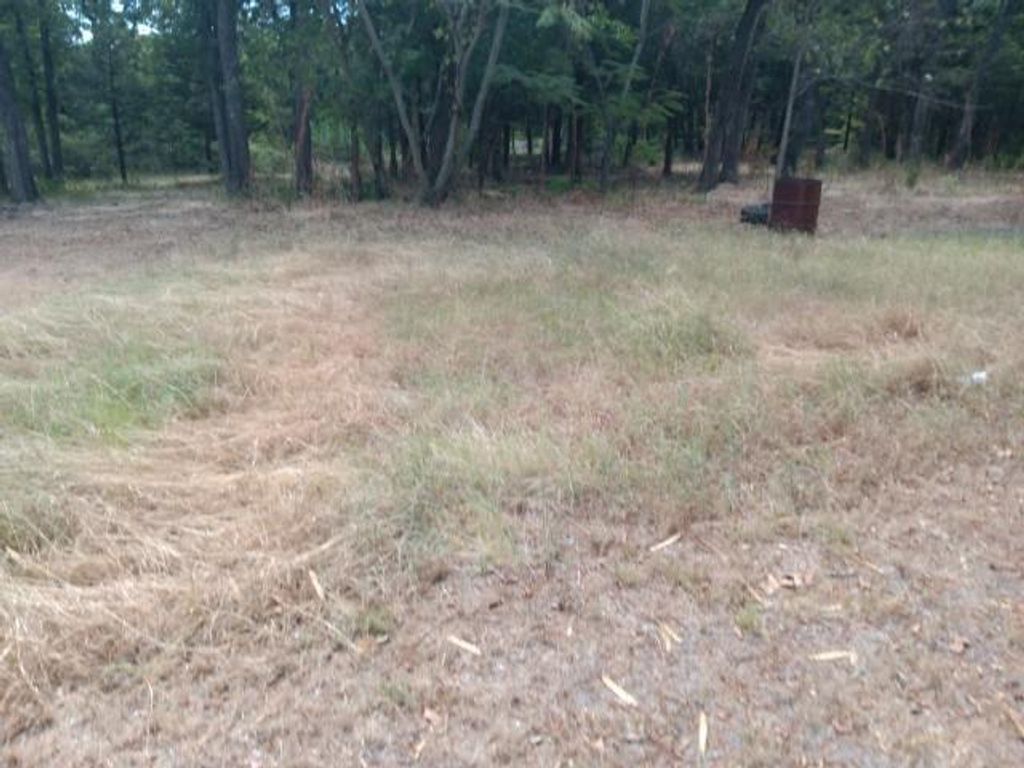 Photo of 411 N 1st Street, Crandall, TX 75114 (MLS # 21280072)