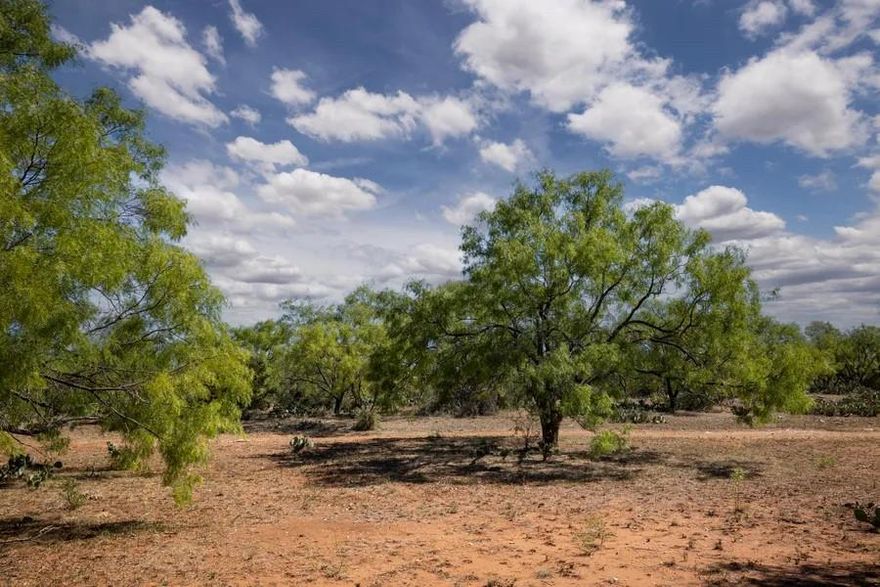 Located 0.4 miles from Mason, TX, the Lane Ranch features a 3,000 sf limestone home, a guest suite, and productive fruit trees & grapevines. Property includes a skeet & trap field, a water well (10+ GPM per owner), rainwater collection system, and diverse hunting & recreational opportunities. Custom 3-bed, 2 ½-bath Hill Country home with a Keith Zars custom pool & spa with a waterfall & cooking station, flagstone deck, gas fireplace, & much more. 1-bed, 1-bath guest suite in the barn with a full kitchen suite & open-concept living room. Fiber optic internet. 4,000 sf insulated barn with 4 RV-size overhead doors, LED lighting, & loft for storage. Equipped & managed for low-fence hunting, the ranch has had many high-scoring whitetail & axis. Owner has also reported many turkeys & hogs. Many cleared lanes, trails, & excellent brush management making great habitat. Gentle roll, varied terrain & 3 solid ponds along with a portion of Comanche Creek running through the back of the ranch.
