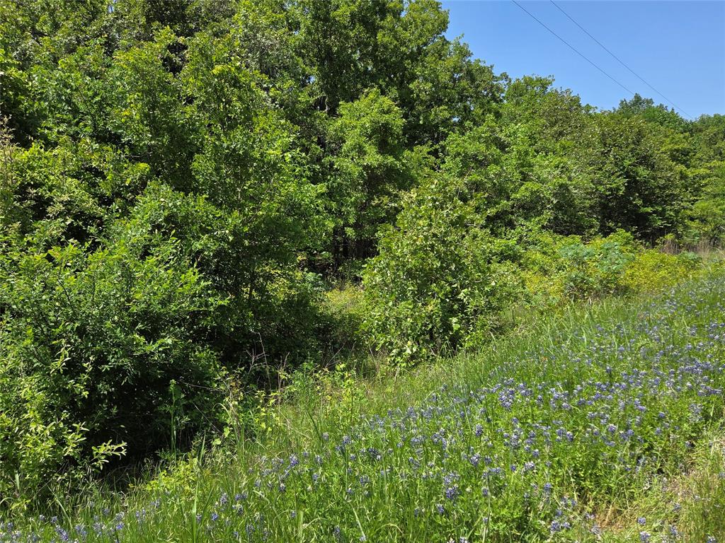 Oakridge Heights II - Land