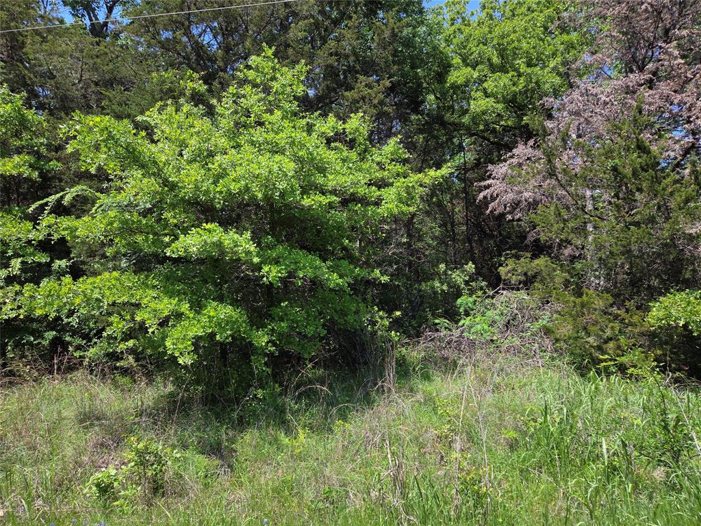 Oakridge Heights II - Land