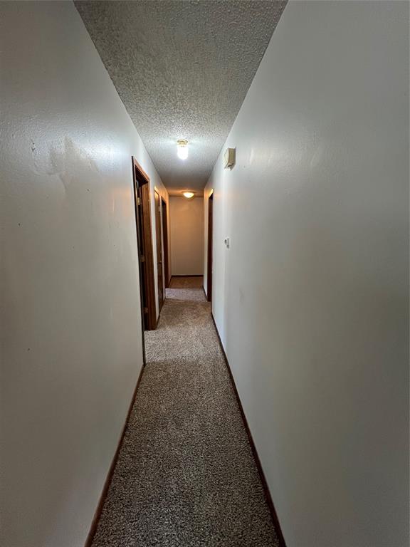 411 W Pelton Street B