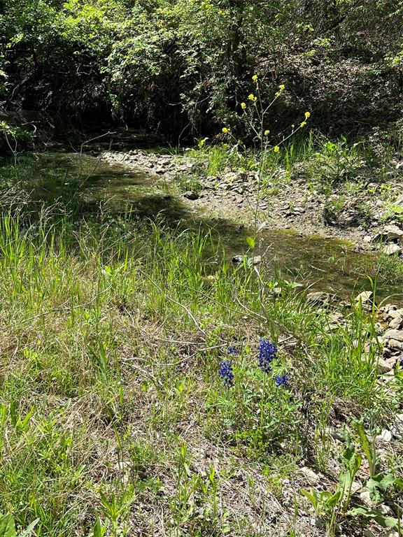 Ranches of Rock Creek - Land