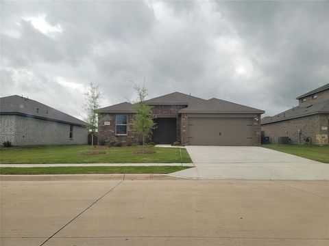 Photo of 1216 Riverbrook Lane, Josephine, TX 75135 (MLS # 21244114)