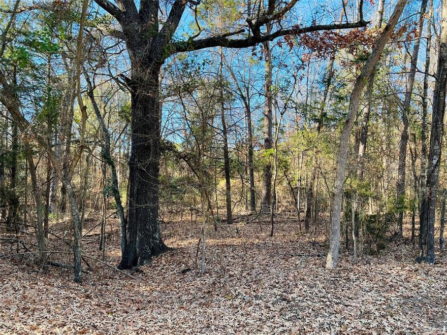 Come and view this beautiful wooded lot located in Tall Tree. Electric and water utilities are available. This .82 of an acre is ready for you to make your own. This gated community offers tennis courts, pool and boat ramp. Call Today!