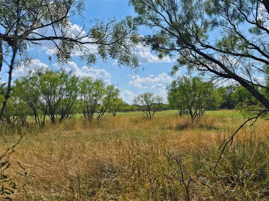 If you are looking for a small track of land out in the country to put a mobile home, RV or tiny home on, this approx 2.7 acre track might just what you are looking for. The land is mainly flat and mostly cleared off so moving in a home would be very easy. If you like animals there is already a very nice pole barn in place.  Located on County Road 151 just a short ways off FM 1849, this land has approximately 395 foot for paved road frontage with water and electricity available. This plot is being pulled off a larger track so a new survey will be required