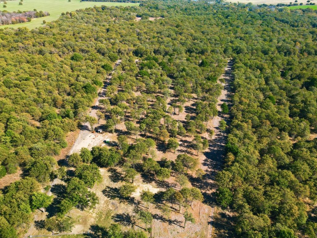 Bonita Oaks Ranch Sub - Residential