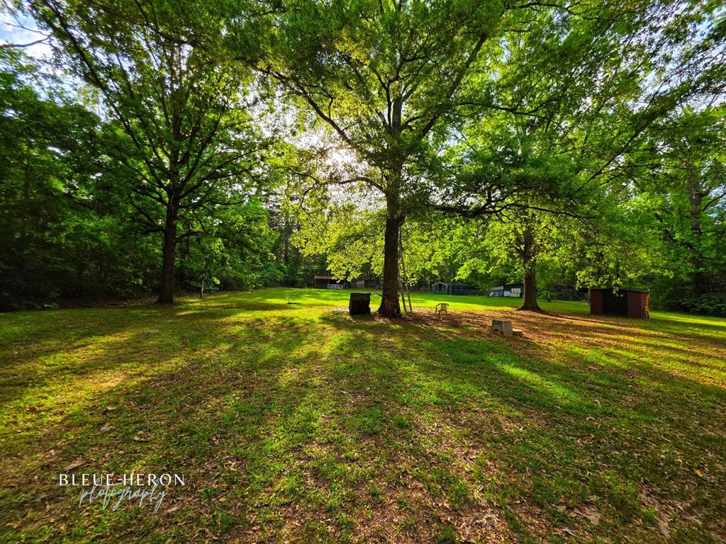 Quiet Place In The Woods - Residential