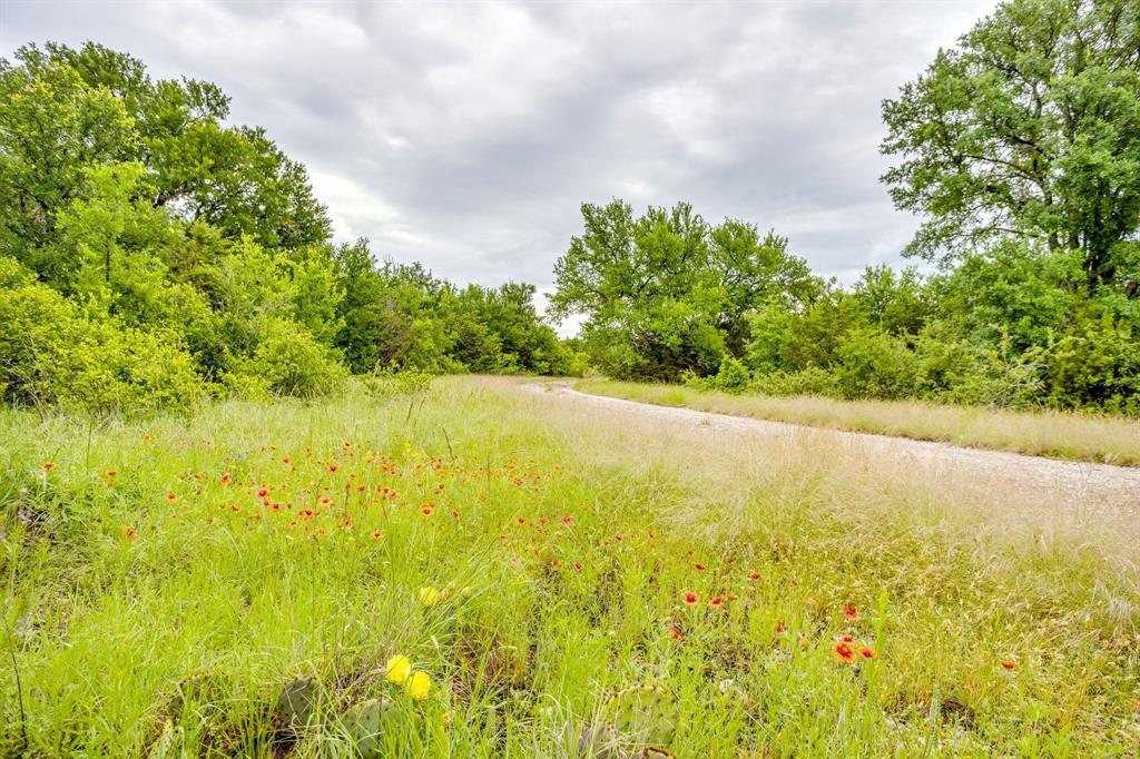 Palo Pinto - Farm