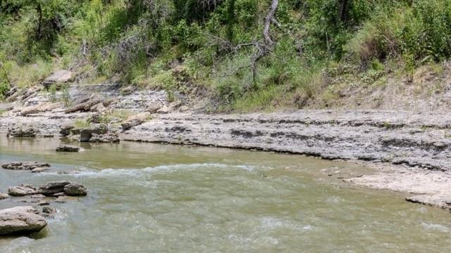 Anson Darniel Surv Abs # 222 - Land