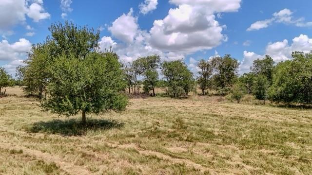 Anson Darniel Surv Abs # 222 - Land