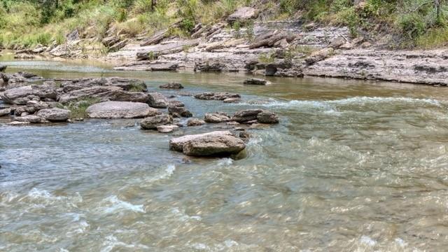 Anson Darniel Surv Abs # 222 - Land