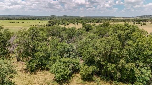 Anson Darniel Surv Abs # 222 - Land