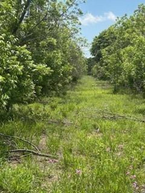 322 County Road 146 De Leon TX 76444