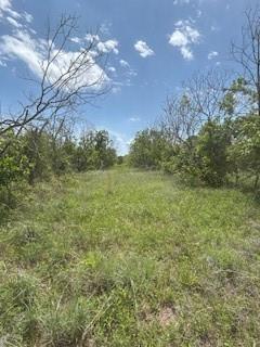 Wolfe Pecanlands Dev 28 - Land