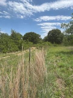 Wolfe Pecanlands Dev 28 - Land