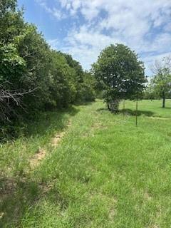 Wolfe Pecanlands Dev 28 - Land