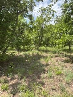 Wolfe Pecanlands Dev 28 - Land