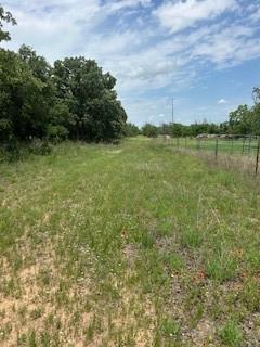 Wolfe Pecanlands Dev 28 - Land