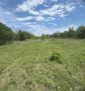 Wolfe Pecanlands Dev 28 - Land